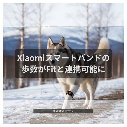 大改善】知らぬ間に歩数連携が可能になったXiaomi スマートバンド